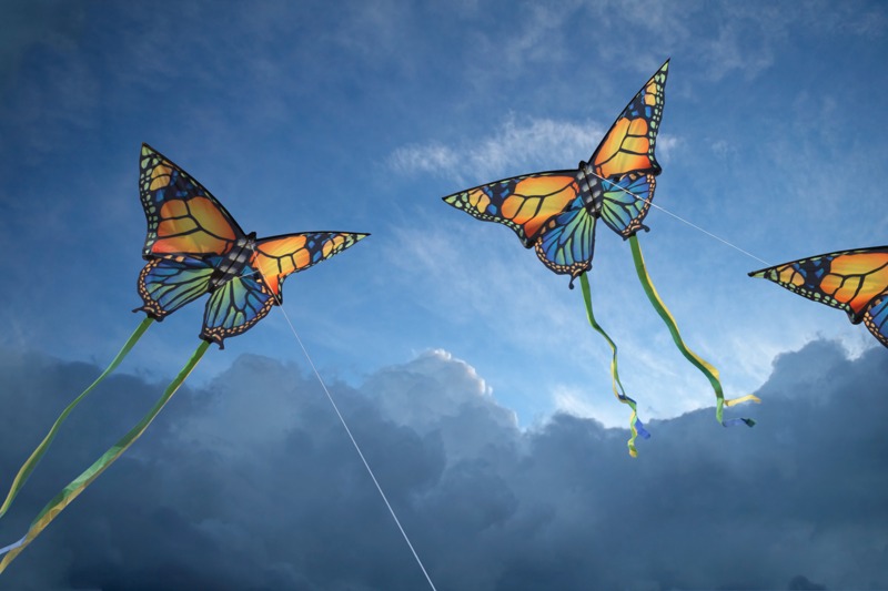 Butterfly Kites
