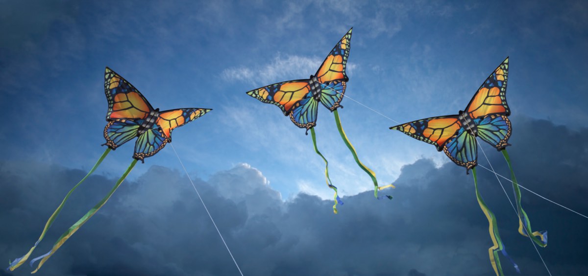 three butterfly shaped kites flying in a blue sky