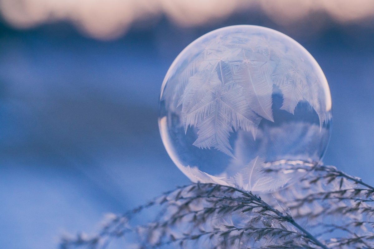 icy bubble resting on an icy plant