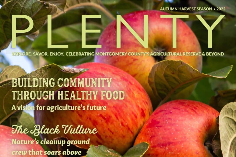 Plenty magazine cover for Autumn 2022 with closeup of apples
